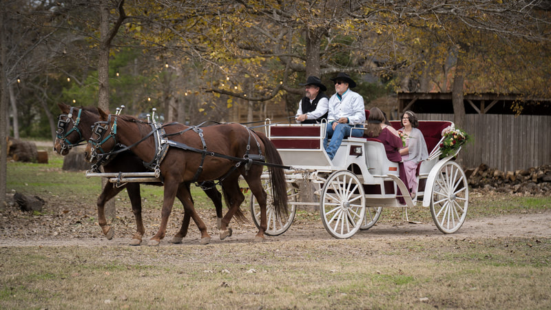 horse drawn carriage for wedding in palmer texas