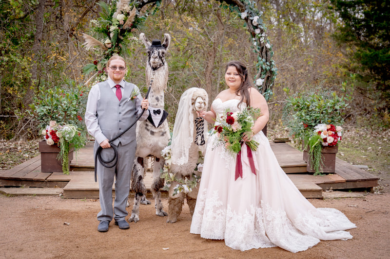 alpaca and llama bride and groom wedding arch boho ceremony floral